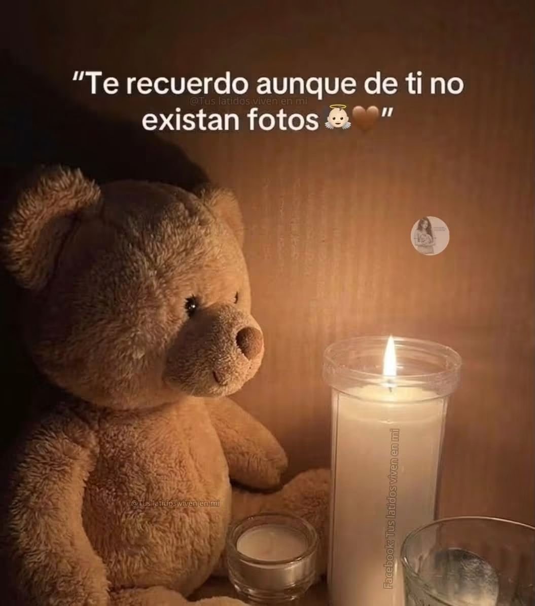 AVRILENE's tweet photo. Tu imagen no está en un papel, sino en cada rincón de mi corazón. Aquí, reafirmo que la memoria más profunda no necesita pruebas visuales. https://t.co/K5Be9kZpau