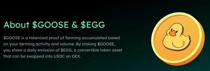 hyperfolio_io's tweet photo. Our very own tokenized point, $GOOSE, is on the way! 

We have more to reveal in the following month. https://t.co/WVdWF2Jqck
