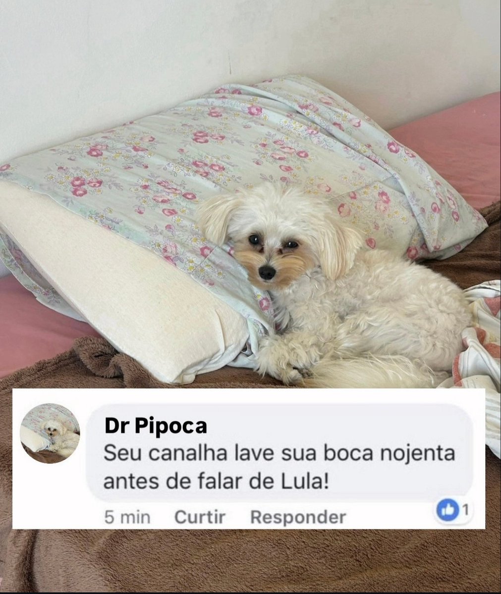 capuanooo's tweet photo. https://t.co/VrYM76GVXT
