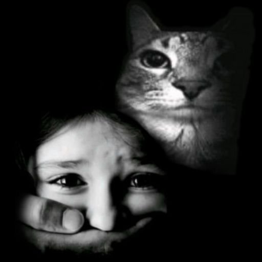 RominsKristell's tweet photo. Lilí en estos momentos: @jkm_moon https://t.co/IUpkIvaR0W