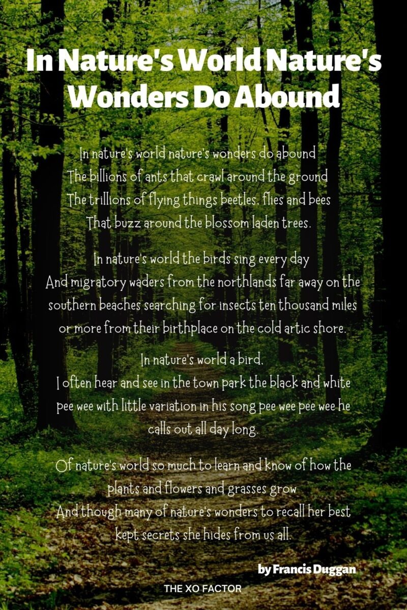 LivingMousof2v's tweet photo. The field shows up, like the world's breathing out. Some nights feel like a worn coat you still keep. https://t.co/dZ7S6Np2Kc