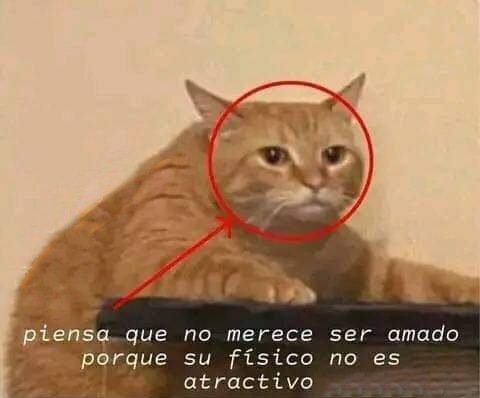 Mantequilla90's tweet photo. https://t.co/c4t0Dn9fcO