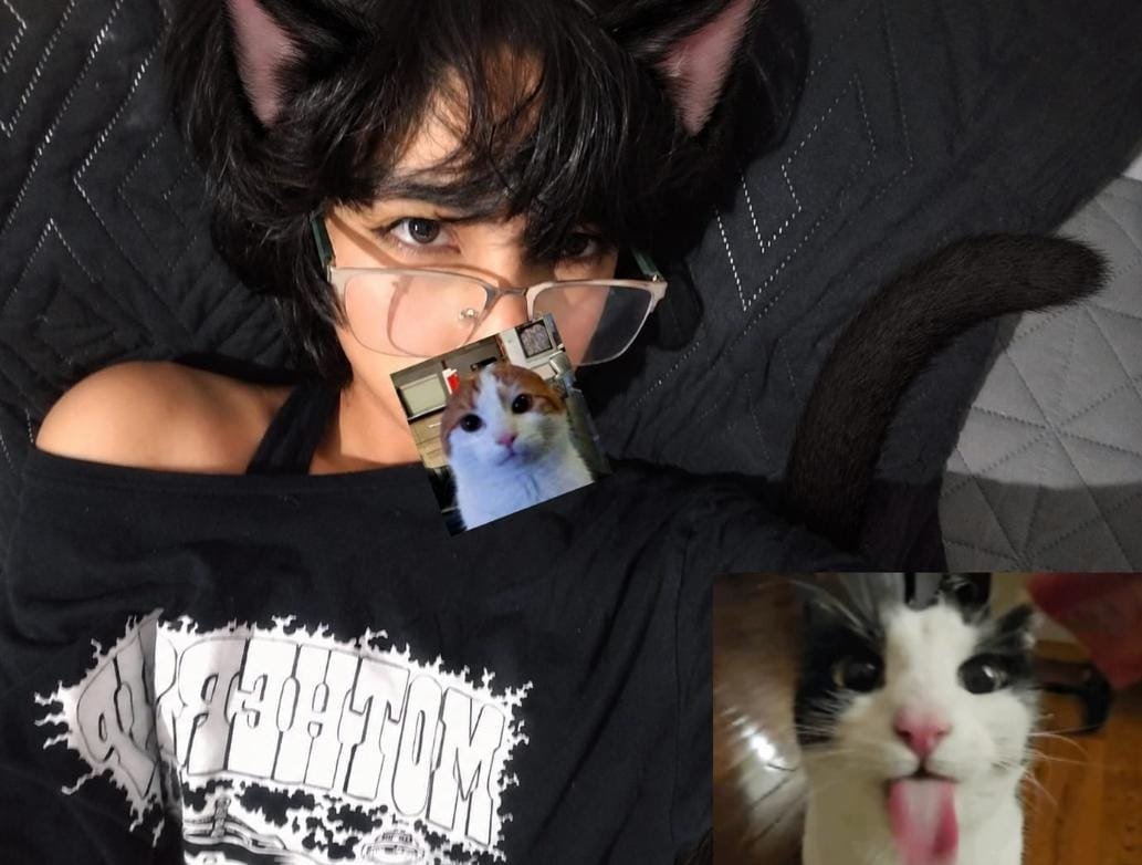 AleFembo's tweet photo. Mm, nadie quiere un gatito calientito? :3 https://t.co/mG9EIOpEdU