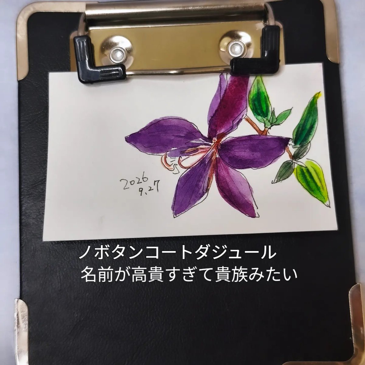suzuki_kimama's tweet photo. 9月27日
朝活ウォーキングスケッチ
透明水彩日記
ノボタンコートダジュール
オシロイバナ ケイトウ
noteにもスケッチ載せてます😊
https://t.co/eC11VLgaAM
#水彩 #イラスト #朝活
#sketch #watercolor https://t.co/qX5KE9R0FM