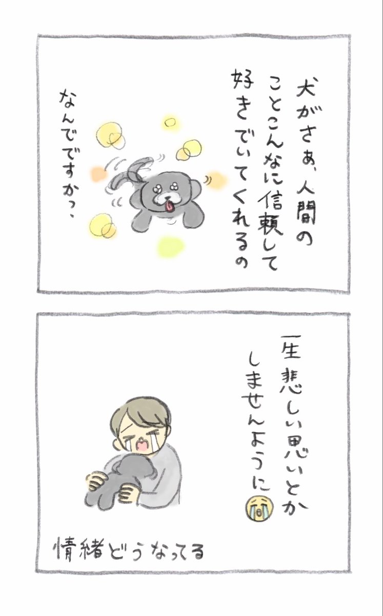 gyuunyuu_umai's tweet photo. 尻尾振ってくれる犬 https://t.co/4rBAcQ4kwc