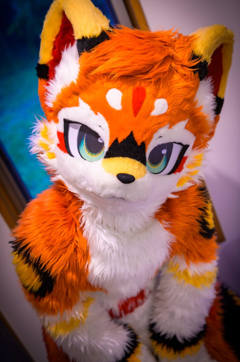 mofumofuseikuu's tweet photo. 👀👀👀
#FursuitEveryday
#furmony
#鸿萌造物 https://t.co/FAvUsvJtMs
