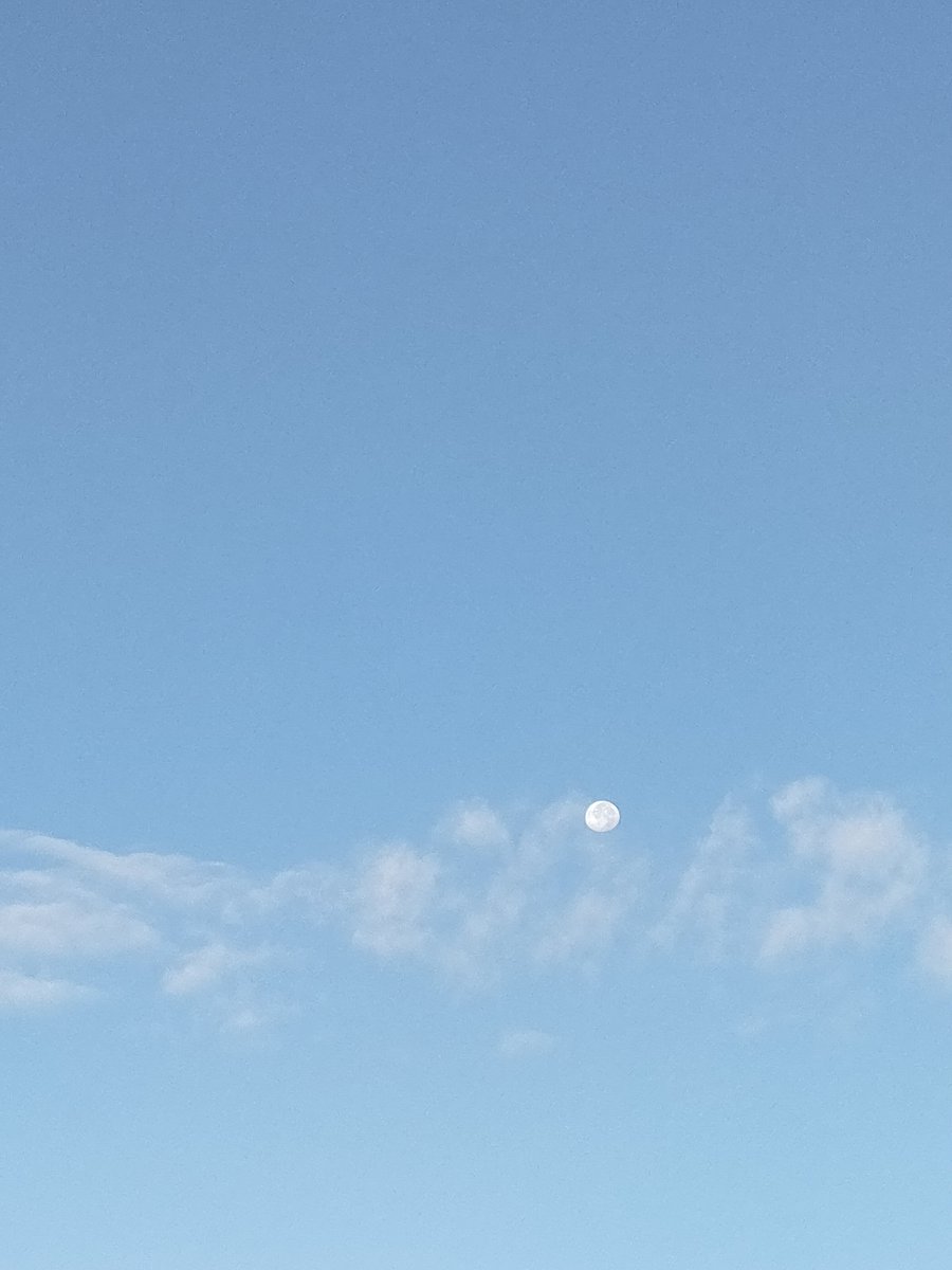 NRY_lgn2's tweet photo. Gece ne kadar ihtişamlısın oysa... 
Gün 🌙dın olmuş https://t.co/qMcgrtt8bo