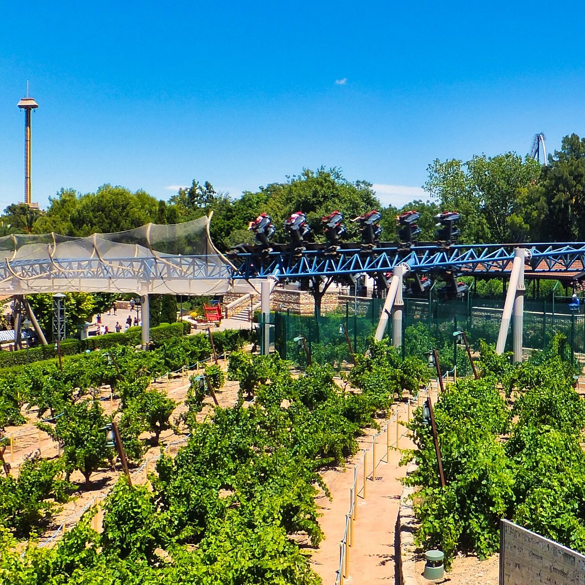 ARBEELMUSIC's tweet photo. Port Aventura World, Salou, Spain #portaventura #portaventuraworld #spain #instadaily #ParcdAttraction #ParcDeLoisirs #MontagnesRusses #RollerCoaster #CoasterAddict #ThrillRide #AttractionFun #ThemePark #CoasterLife #RideTheCoaster #Voyage https://t.co/IbXzwvH0ny