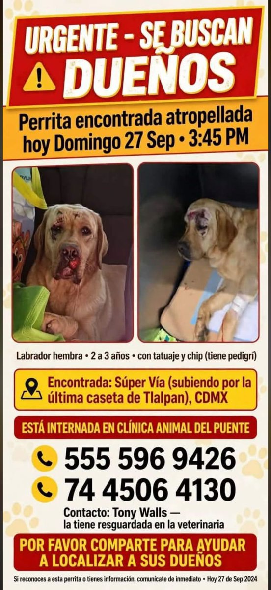 AlejandraVegaF5's tweet photo. ATENCIÓN TLALPAN ‼️ ES TUYA!?? https://t.co/Ba0AnXpCLo