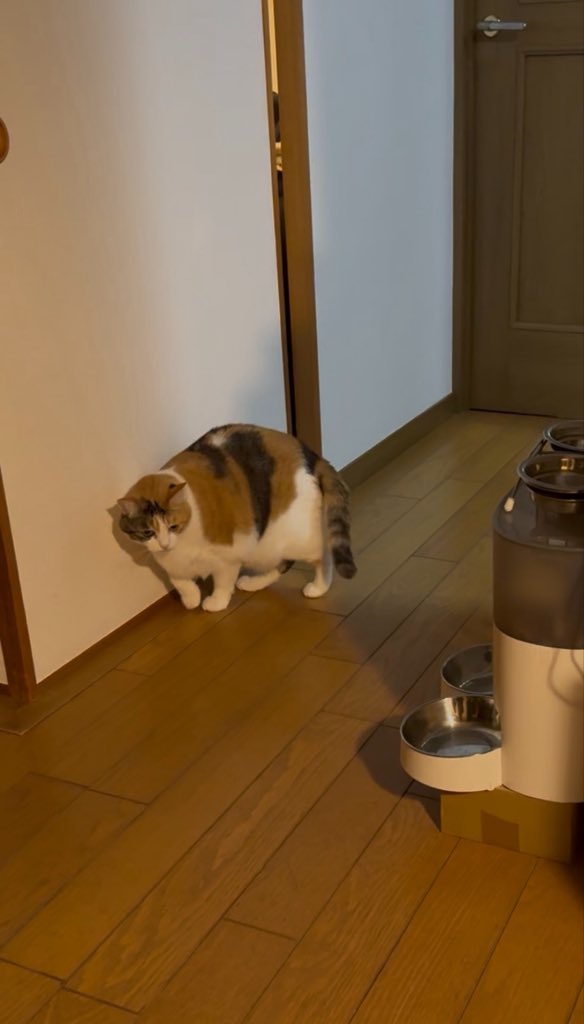 suggarmich's tweet photo. まだかな https://t.co/RufA85e9K0