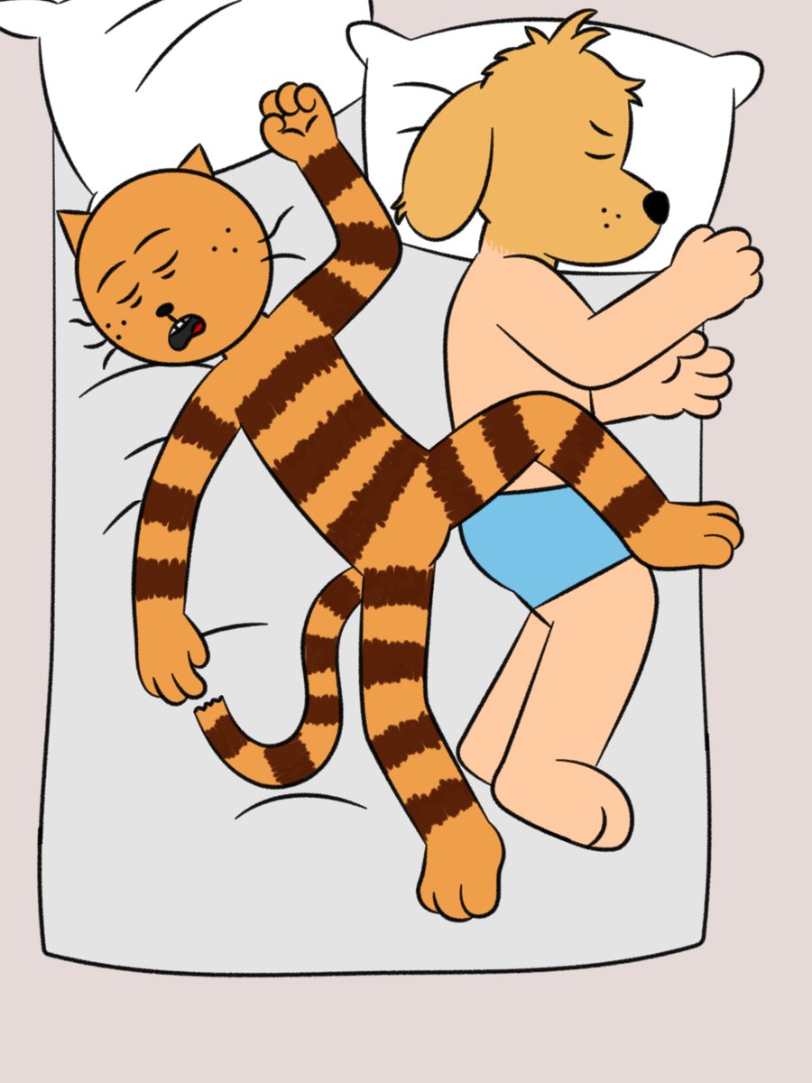 1_peteydog_1's tweet photo. tipos de persona en la cama😂
#dogman #Petey #dogmanfanart #dogmanxpetey #detey https://t.co/mvr3TqPHjG