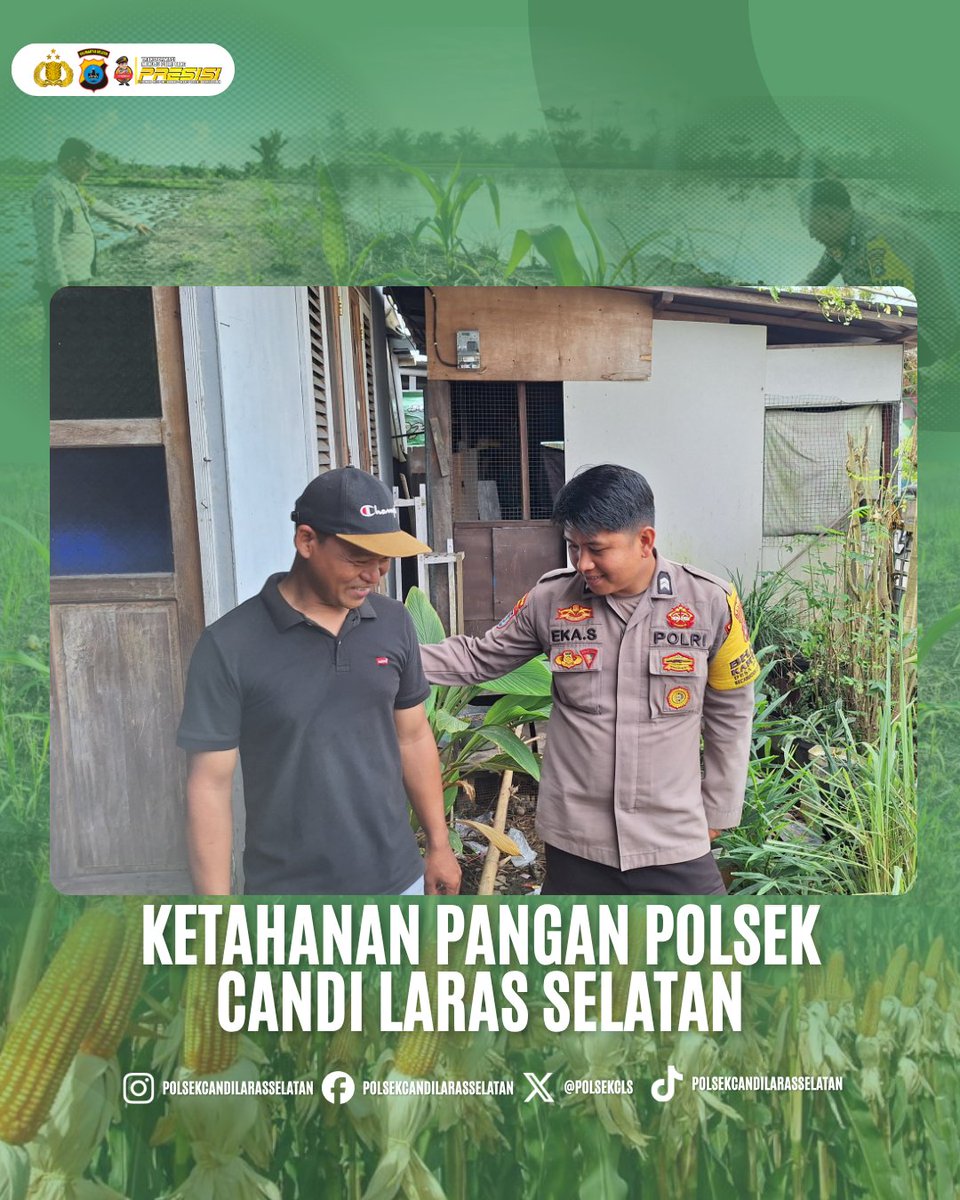 PolsekCLS's tweet photo. Briptu Eka septemberyadi melaksanakan sosialisasi kepada masyarakat dalam rangka mendukung program ketahanan pangan.

#swasembadapangan 
#ketahananpangan 
#poldakalsel 
#polrestapin 
#polsekcandilarasselatan https://t.co/S5JK6ubhKO