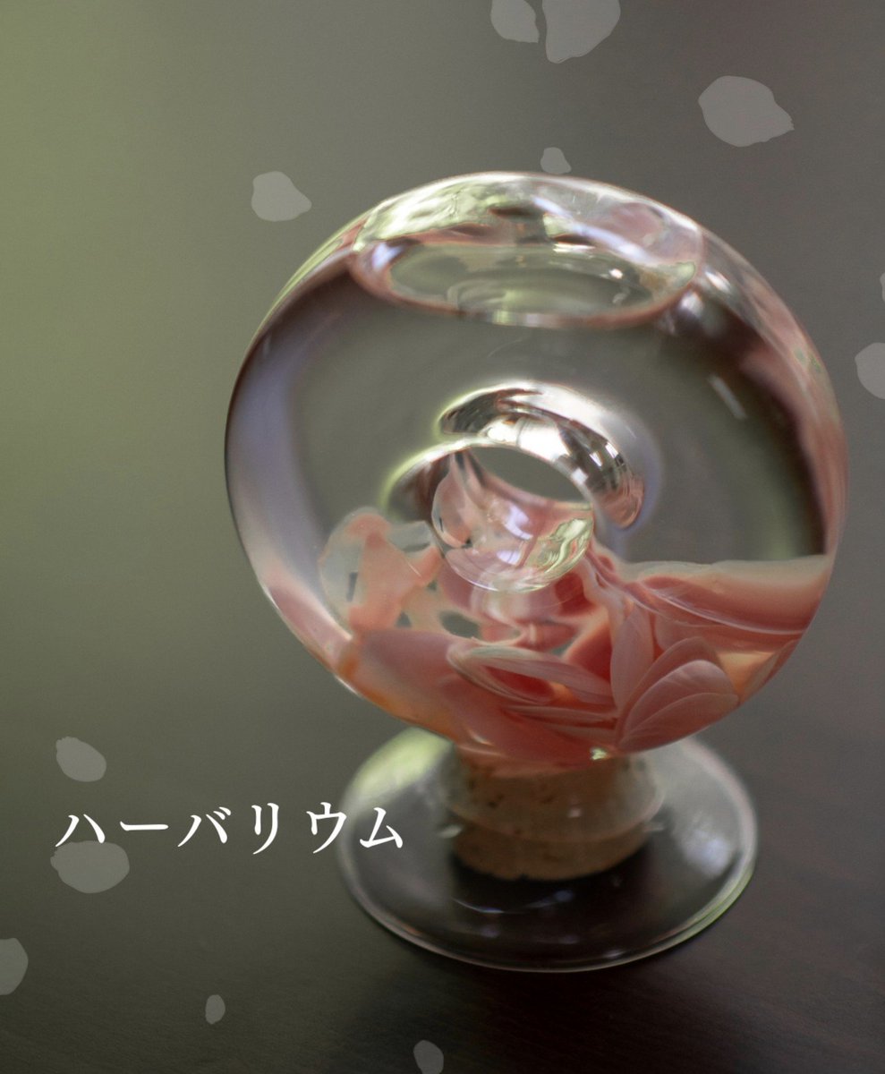 LinoDrops's tweet photo. 🌸オンラインショップ受注受付は明日まで🌸

シークレットキャンペーンアイテムの一部受注品は明日までお求めいただけます。

5000円以上のご購入で抽選券を同封中！本やグッズが当たるかも……？

秋の長雨でお出かけできなかった方も、ぜひオンラインショップでお買い物をお楽しみください✨↓↓ https://t.co/e5yVar2Zau