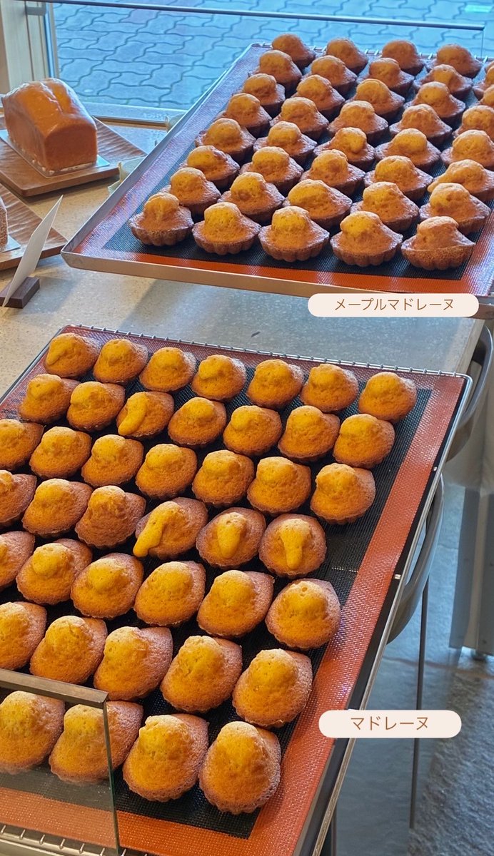 kimura_kyoto's tweet photo. 本日は不定期開催の焼菓子デーです🗓️

袋入りの焼菓子やパウンド、焼きたて販売などもございますのでぜひお越しくださいませ😊

〖 KIMURA 〗 
🏠京都市下京区西七条南西野町37-1

🚃#西大路 #梅小路京都西  徒歩15分 https://t.co/6XzgZc7DnY