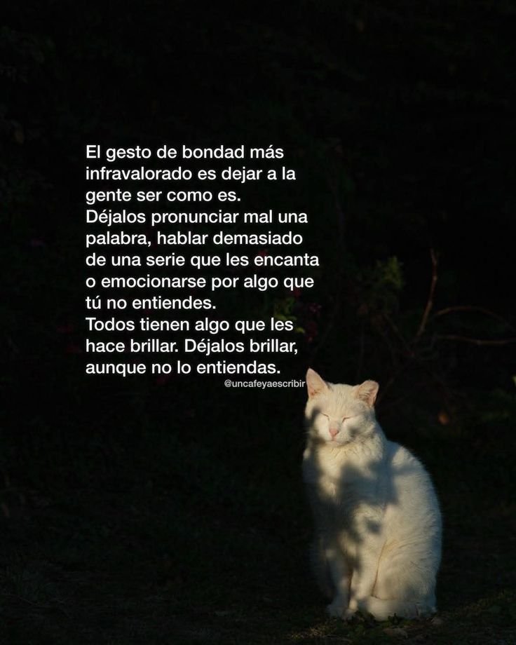 DeryaRamirez's tweet photo. https://t.co/30AvCQ6YDg