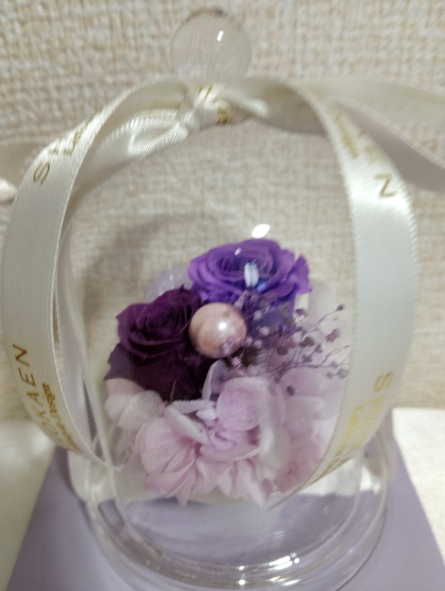 maimai2741's tweet photo. 岸く〜ん💜
お誕生日おめでとう🎉🎊🎂
岸くんにとって、パピネ〜ス💜な年になりますように💜
#KC_HBDay https://t.co/p1u99VdDJ1