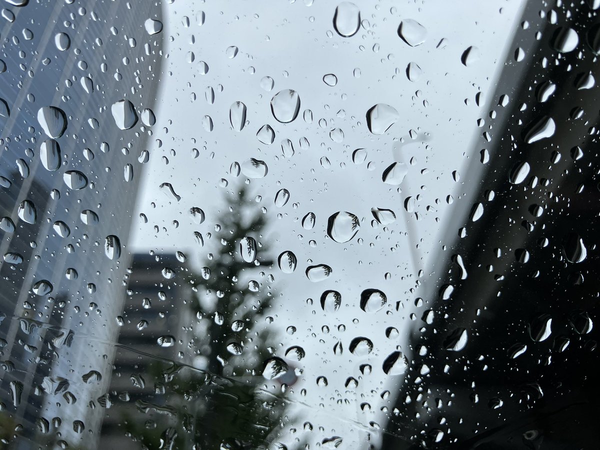 NANIWATAXIDR's tweet photo. おはようございます😊

市内中心部の空はこんな感じでございます…☔️

本日は朝イチより特殊mission🪖🇯🇵進行中です
午前の部？をクリアしました
お昼🍚して夜の部？に備えましょうか、ね

さて
ﾜﾀｸｼ、とある珈琲店にハマってます☕️
(写真は某日のお三時🍰)
コチラは座席間も広くてまったりできますね…
(スタバ◯はちょっとアレかも)

🚕の運転に限らず心がゆったりとできるのは
良き❤️
です、な

では
皆さま、ご安全に🦺🚕

#雨の日は急がず慌てず運転をば
#車間を取りませう🚕🚗
#ともあれお弁当は美味し❤️