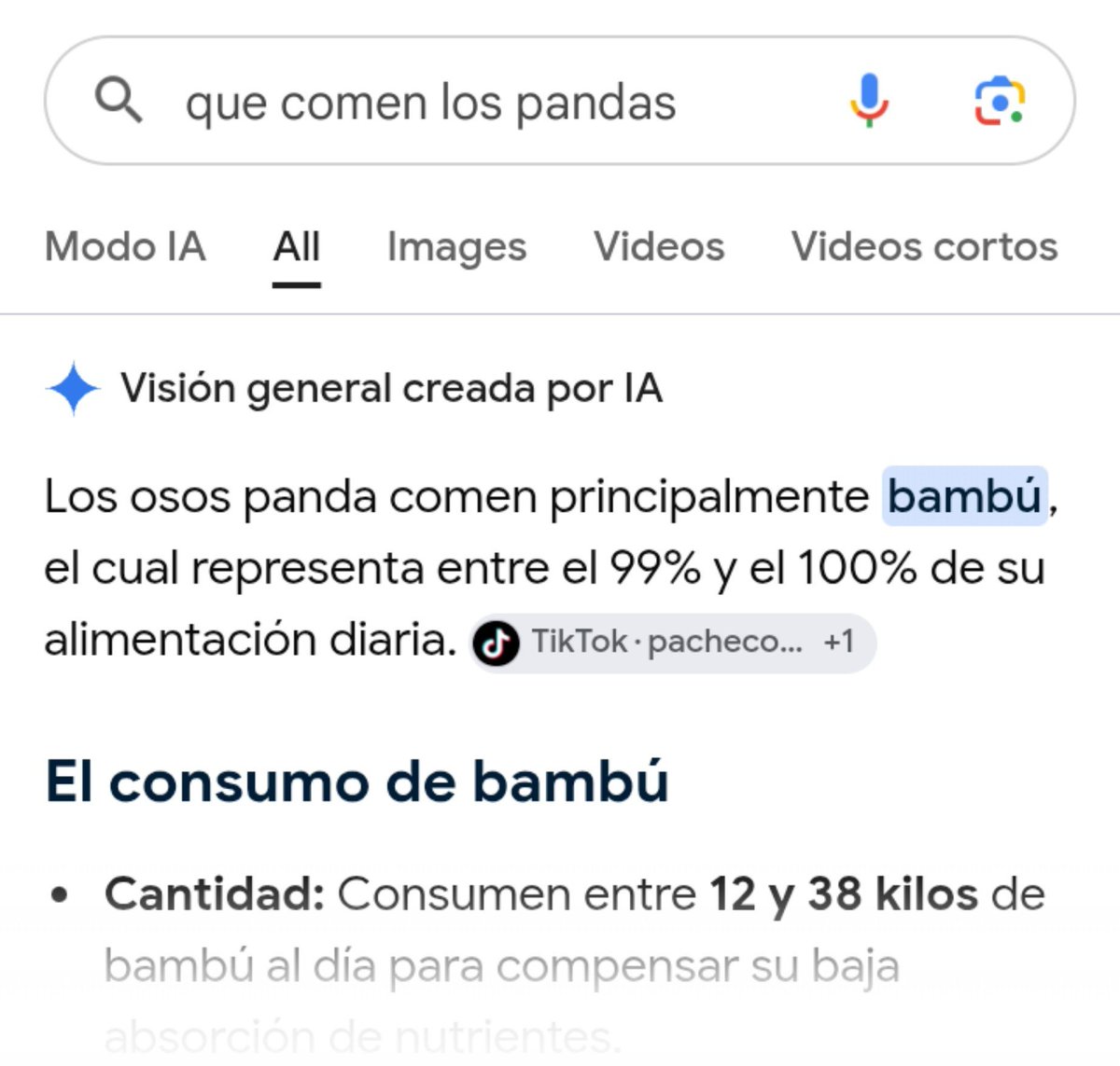 SabrinaWastaken's tweet photo. El Team Mafia quejándose de que Sapnap solo farmea caña de bambú, olvidándose de que es mitad panda, está en su ADN 😔 https://t.co/t51BCKZSKS