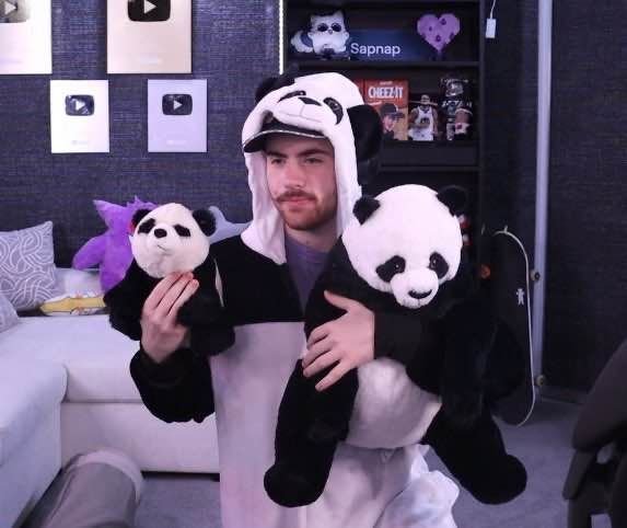 SabrinaWastaken's tweet photo. El Team Mafia quejándose de que Sapnap solo farmea caña de bambú, olvidándose de que es mitad panda, está en su ADN 😔 https://t.co/t51BCKZSKS