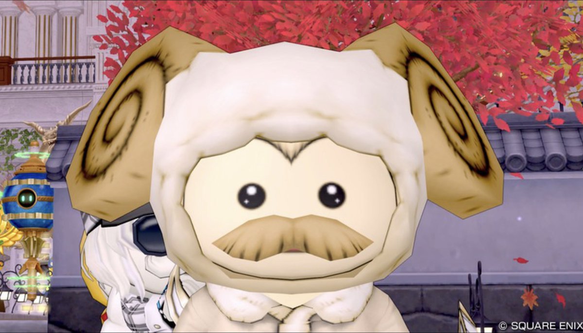 nooeel_dq10's tweet photo. どアップクかわいい🤍 https://t.co/Lzo4F6jzEV