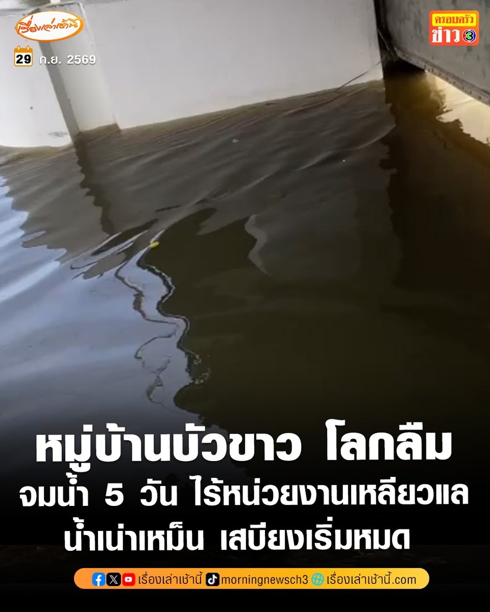 MorningNewsTV3's tweet photo. ทีมข่าวช่อง 3 ลงพื้นที่สำรวจน้ำท่วมบริเวณหมู่บ้านบัวขาวฝั่งในซอย 51 เขตมีนบุรี ตลอดระยะทาง 3 กิโลเมตร มีบ้านเรือนประชาชนหลายพันครัวเรือน ยังคงอยู่ในสภาวะน้ำท่วมขังตั้งแต่ 50-70 เซนติเมตร สภาพน้ำเป็นสีดำมีกลิ่นเน่าเหม็นคละคลุ้งทั่วบริเวณ 
.
ป้าตุ๋ย ป้าแอ๋ว ป้าน้อย วัย 70 ปี ซึ่งอยู่ในซอยบัวขาวแยก 45 สะท้อนความรู้สึกว่า ตั้งแต่วันที่ 24 กันยายน ฝนตกหนักอย่างต่อเนื่อง น้ำเอ่อล้นเข้าท่วมบ้านชั้นเดียวจนไม่สามารถพักอาศัยได้ แต่ก็พยายามใจสู้ เนื่องจากภายในบ้านมีคนสูงอายุและผู้ป่วยติดเตียง จึงไม่สามารถเคลื่อนย้ายออกไปแหล่งพักพิงได้ วันนี้นับเป็นวันที่ 5 ที่ต้องสู้ชีวิตด้วยการอยู่ตามมีตามเกิด เนื่องจากไข่และข้าวสารเพิ่งหมดเมื่อวานนี้ ที่ยังมีชีวิตอยู่ได้ ต้องให้คนในบ้านลุยน้ำออกไปรับอาหารที่ศูนย์พักพิงกลับมาประทังชีวิต
.
ขณะที่ ป้าตุ๋ย บอกว่า ไม่สามารถพักอาศัยที่บ้านตัวเองได้ ต้องมาอาศัยกับป้าแอ๋ว เพราะขาไม่ดี เคลื่อนไหวไม่สะดวก จึงขอมาอาศัยนอนที่ชานบ้านและทายากันยุงเอา ที่ผ่านมาไม่มีหน่วยงานรัฐเข้ามาให้การช่วยเหลือ ต้องใช้ชีวิตอย่างยากลำบากเพราะหมู่บ้านอยู่ท้ายซอย
.
ส่วน ลุงน้อย ซึ่งป่วยติดเตียง แม้จะนอนแช่น้ำอยู่ชั้น 1 ของบ้านที่น้ำท่วมขังเต็มพื้นที่ ต้องจำใจทนเพราะไม่สามารถออกไปข้างนอกได้ โดยยังไม่รู้ว่าสภาพแวดล้อมจะส่งผลกระทบกับร่างกายหรือไม่ แต่ยังคงมีกำลังใจที่ดี
.
ด้าน บังจู อยู่บ้านหลังสุดท้ายของแยก 51 ระบุว่า หมู่บ้านอยู่ติดกับคลองสองต้นนุ่น ทำให้ภายในหมู่บ้านถูกล้อมรอบด้วยน้ำ ขณะนี้น้ำเป็นสีดำส่งกลิ่นเหม็นเน่าอย่างชัดเจน อีกทั้งบริเวณนี้ยังมีสัตว์เลื่อยคลาน ทั้งปลิง งู สร้างความหวาดผวาให้กับชาวบ้าน วอนหน่วยงานที่เกี่ยวข้องเข้ามาช่วยเหลือประชาชนด้วย

#เรื่องเล่าเช้านี้ #ครอบครัวข่าว3 #ข่าวสังคม #น้ำท่วม