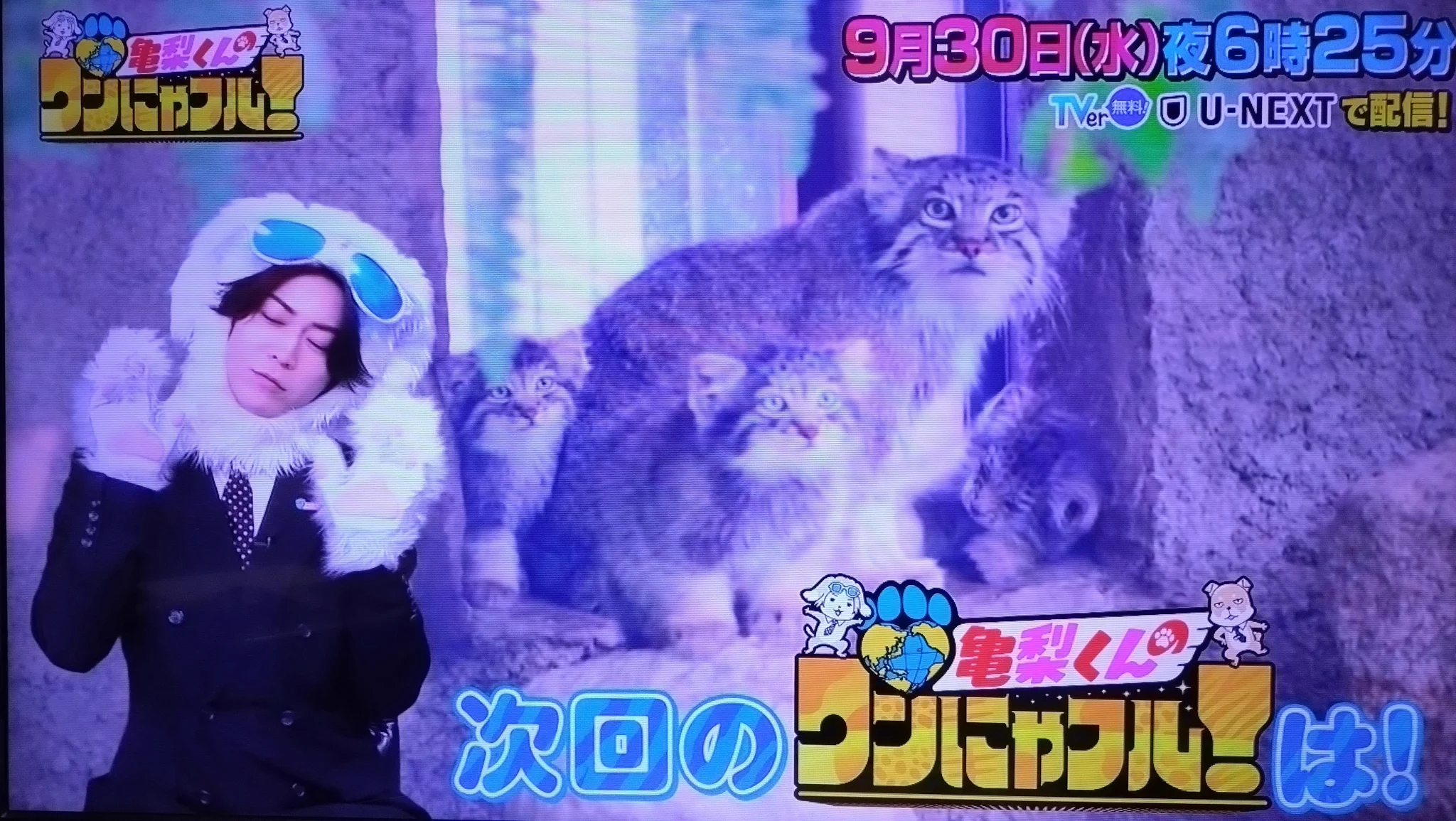 かめ節🐢💋 on X: 
