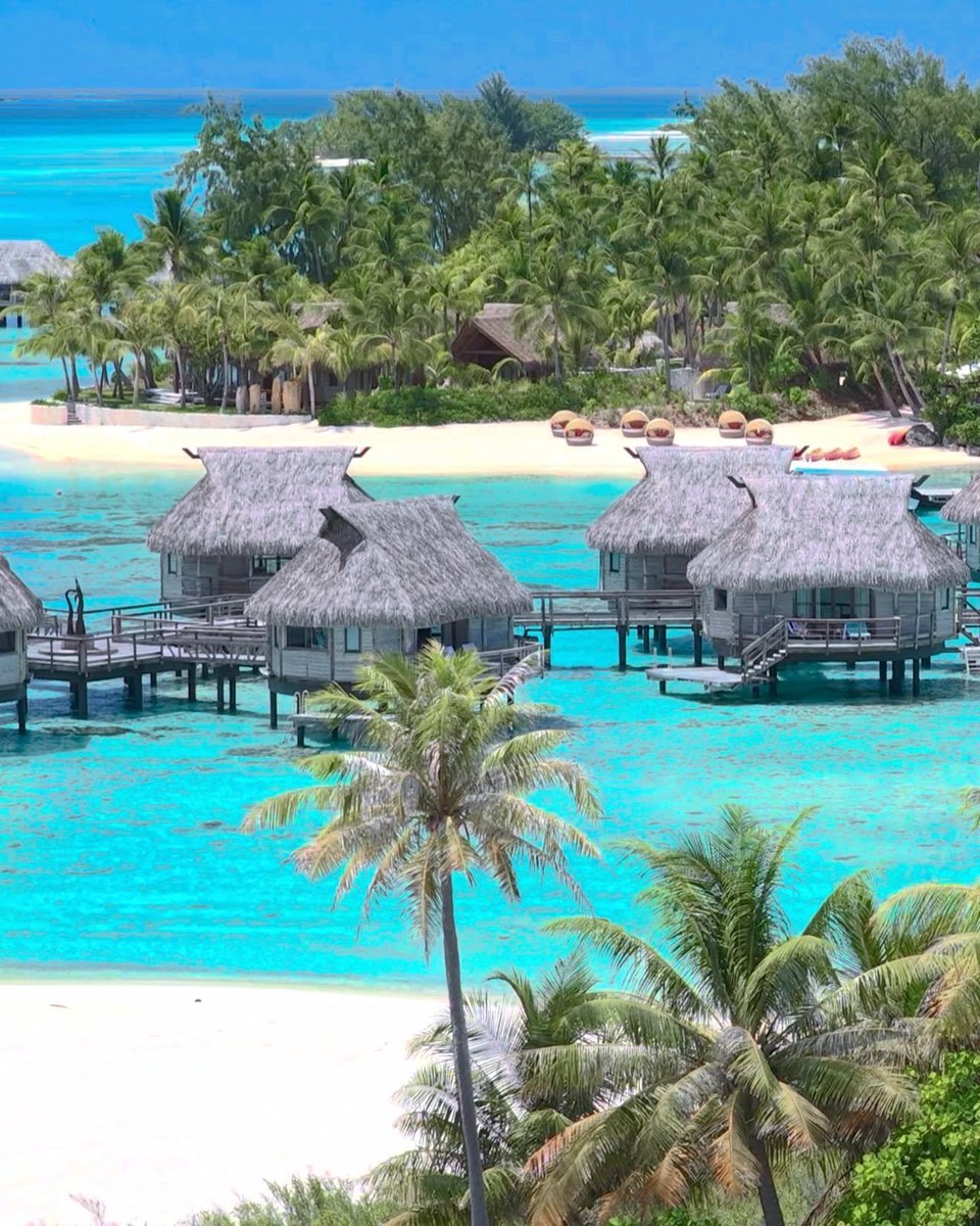 water_diaries's tweet photo. Maldives 💦 🇲🇻 https://t.co/sl3UvaVBE5