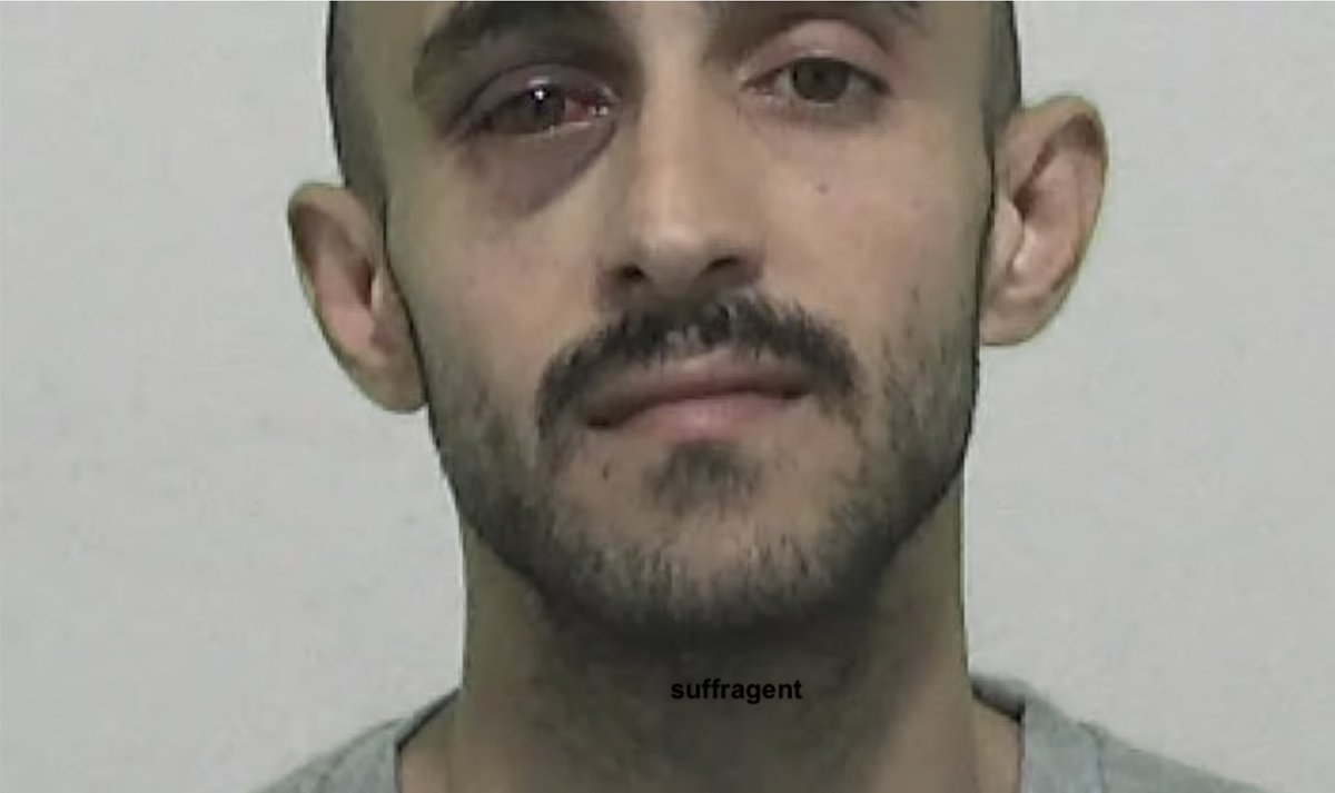 Suffragent_'s tweet photo. Meet Peyman Afrasiyabipour - a migrant from Iran. He mugged an old lady in Tyneside. 

The victim, 69, a church minister who'd just overcome cancer, was left "traumatised".  

Yet he AVOIDED jail with a suspended sentence. No deportation. Meanwhile, Danny Tommo is still caged.🇬🇧 https://t.co/cfvGzvWaNE