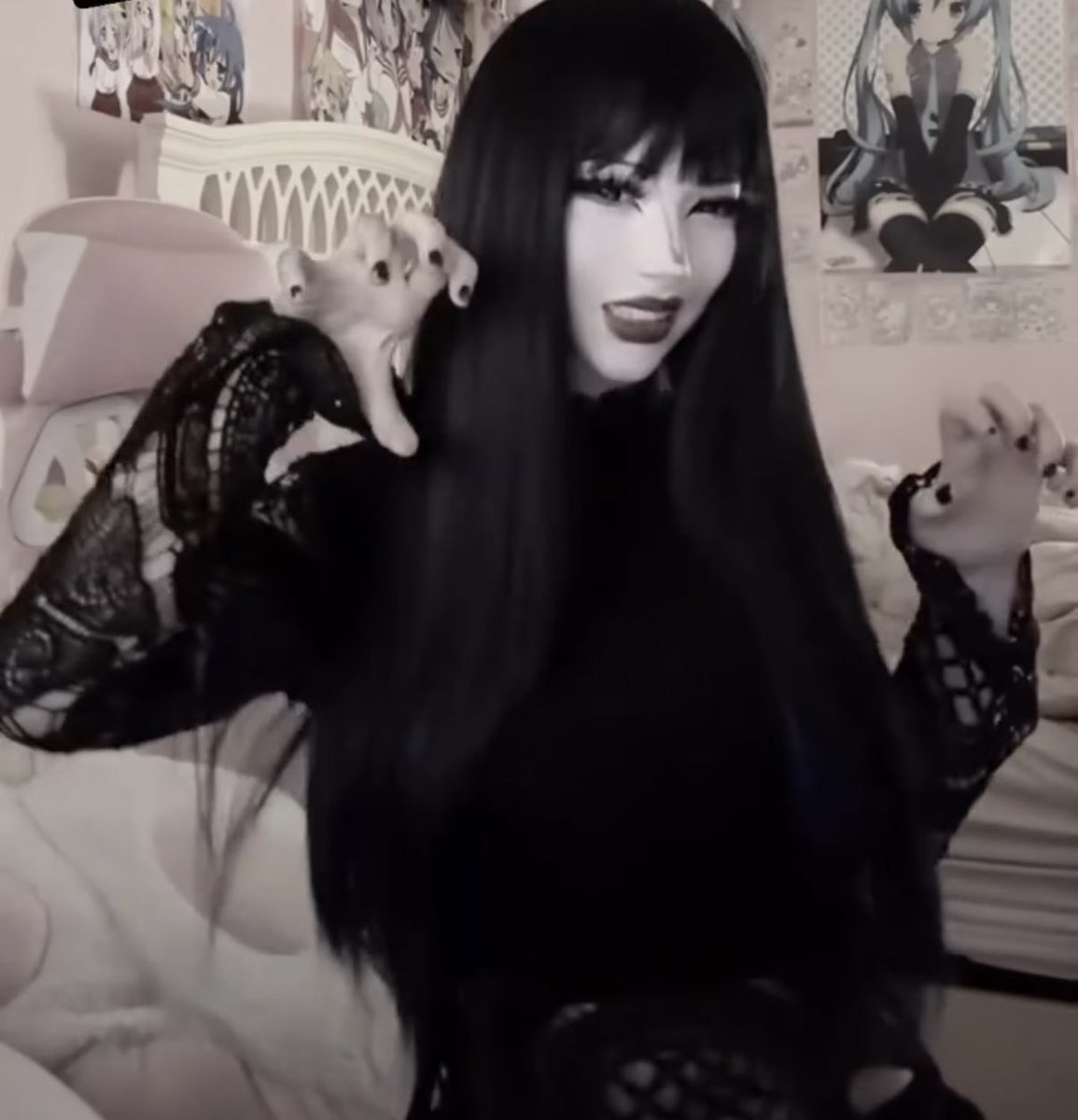 epicgrrl's tweet photo. goth in a pink room ( ⸝⸝･̆⤚･̆⸝⸝) https://t.co/ReiL0xtZV7