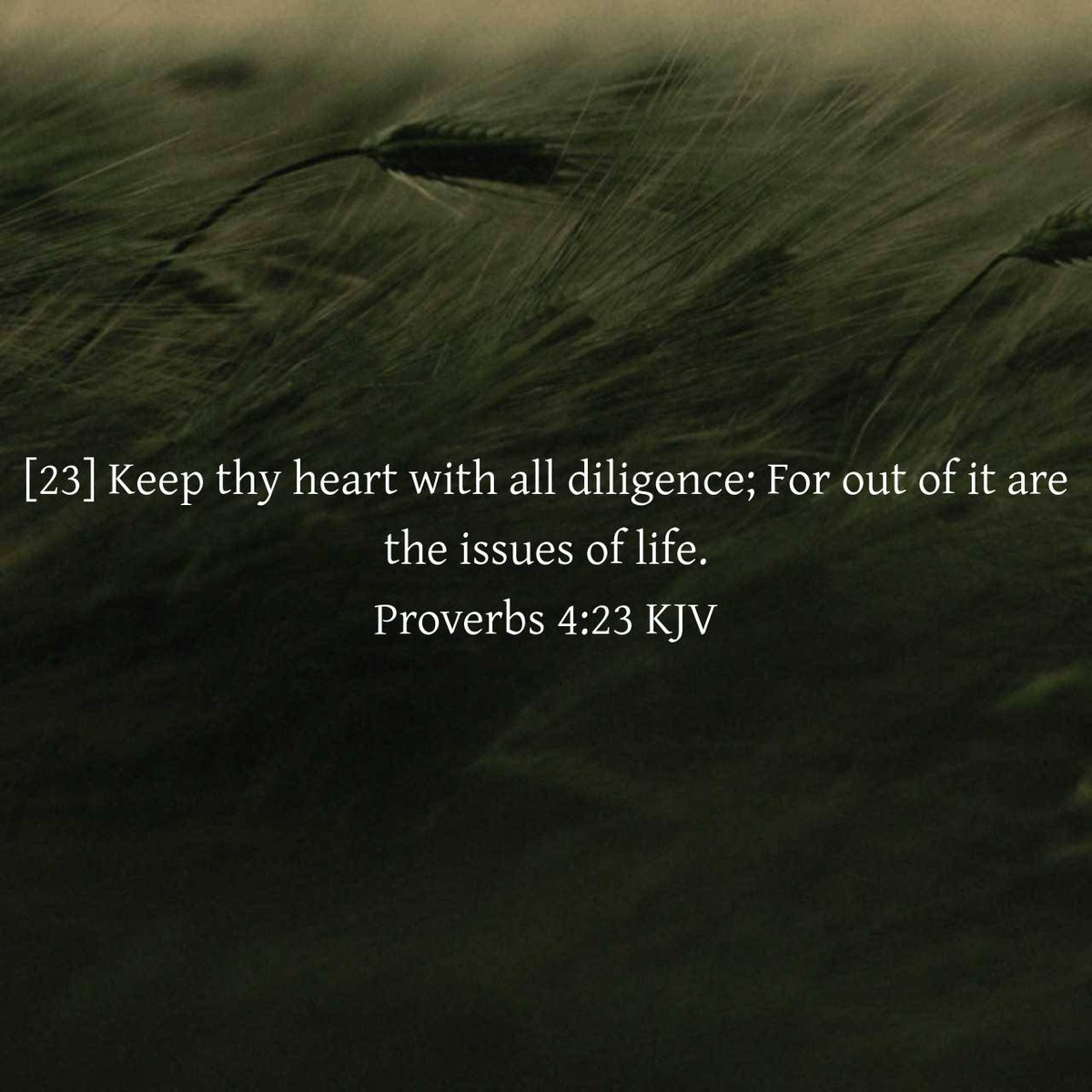 lisamabry's tweet photo. “Keep thy heart with all diligence; For out of it are the issues of life.”
Proverbs 4:23 KJV

https://t.co/dt2WetvlX3 https://t.co/p70zo5Kd2o