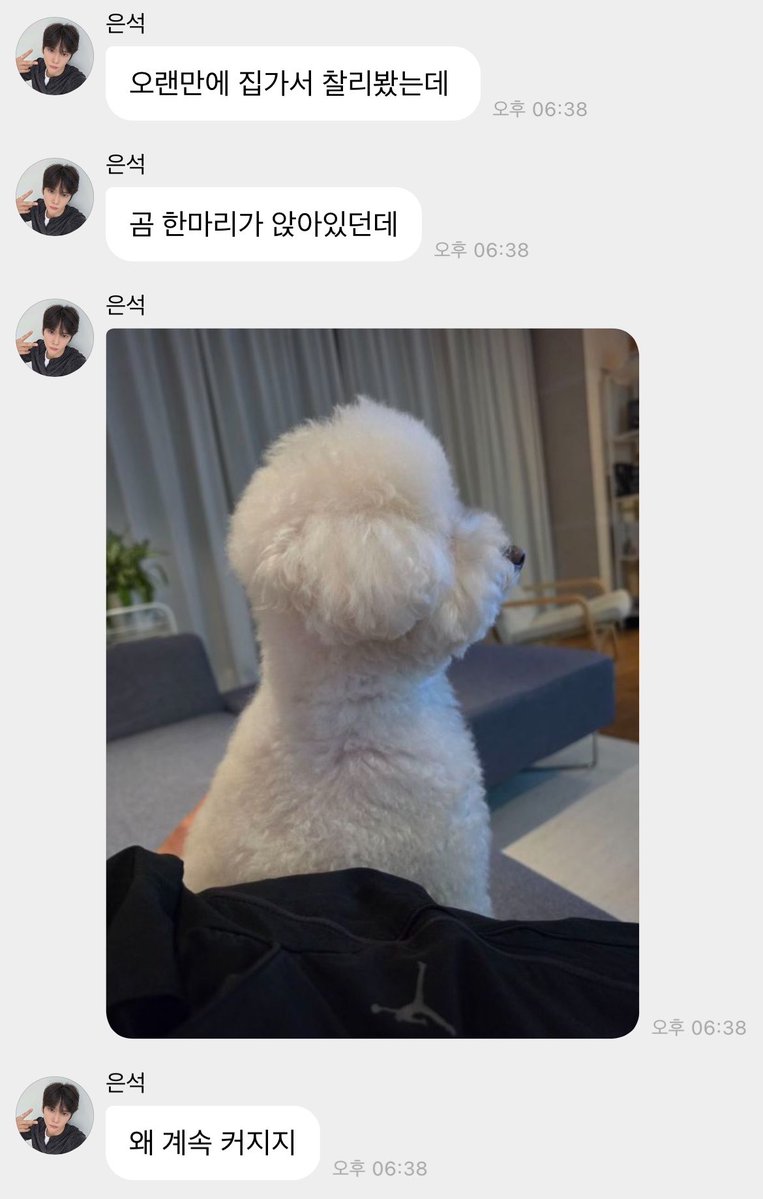 myfavoriteag11's tweet photo. 와 찰리개웃겨 뭔곰이있대 https://t.co/SUCM9ueSUb