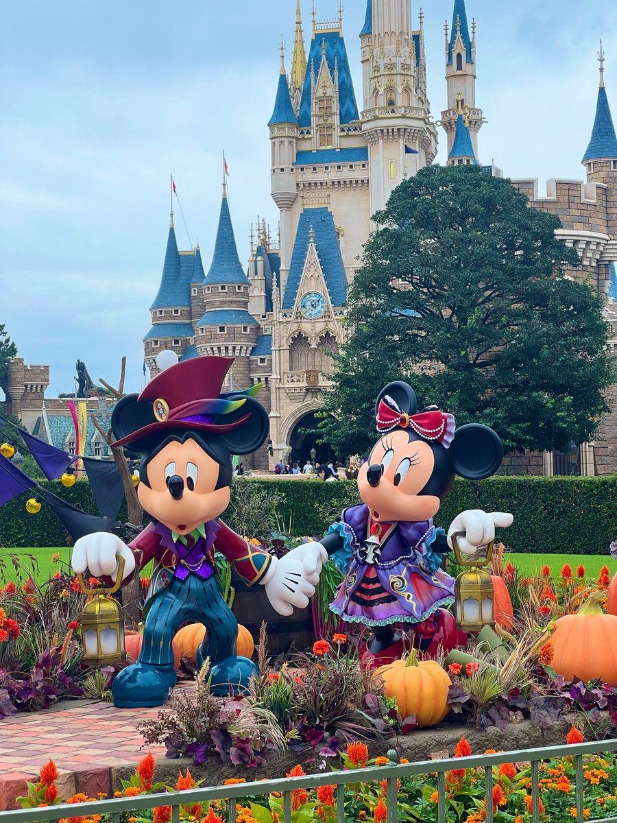 mayo_suko's tweet photo. Dハロに行ってきた🎃🦇
フレンジー見れて本当に良かった😭 https://t.co/6OAWVSLzTb