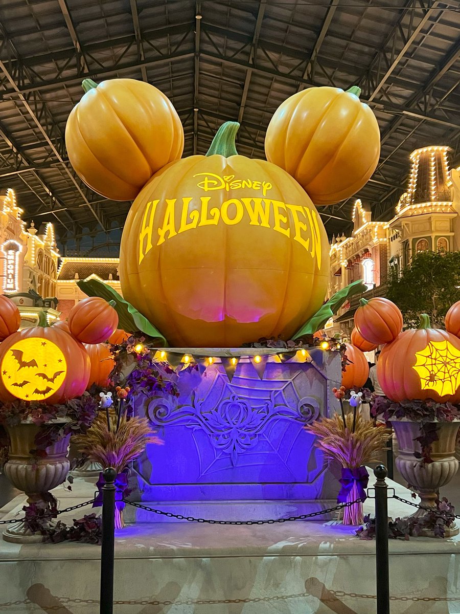 mayo_suko's tweet photo. Dハロに行ってきた🎃🦇
フレンジー見れて本当に良かった😭 https://t.co/6OAWVSLzTb