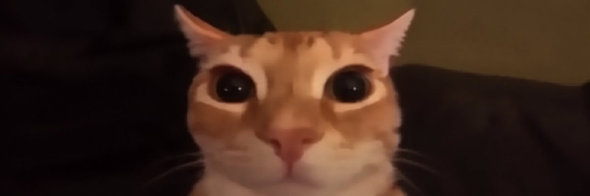 typatime673's tweet photo. me when glungus https://t.co/GNsqKeMK5e