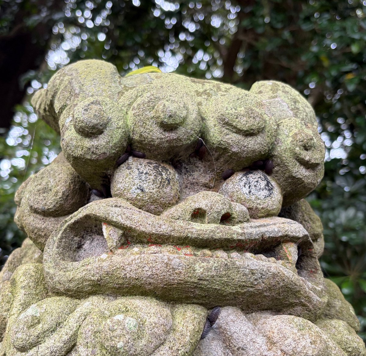 DBcrownchannel's tweet photo. 昨日の茨城　神社巡り
狛犬に個性を感じた

みんな違って
みんないい。

どれが良いですか？

俺は4枚目。 https://t.co/Zr2Tl3Cp5t