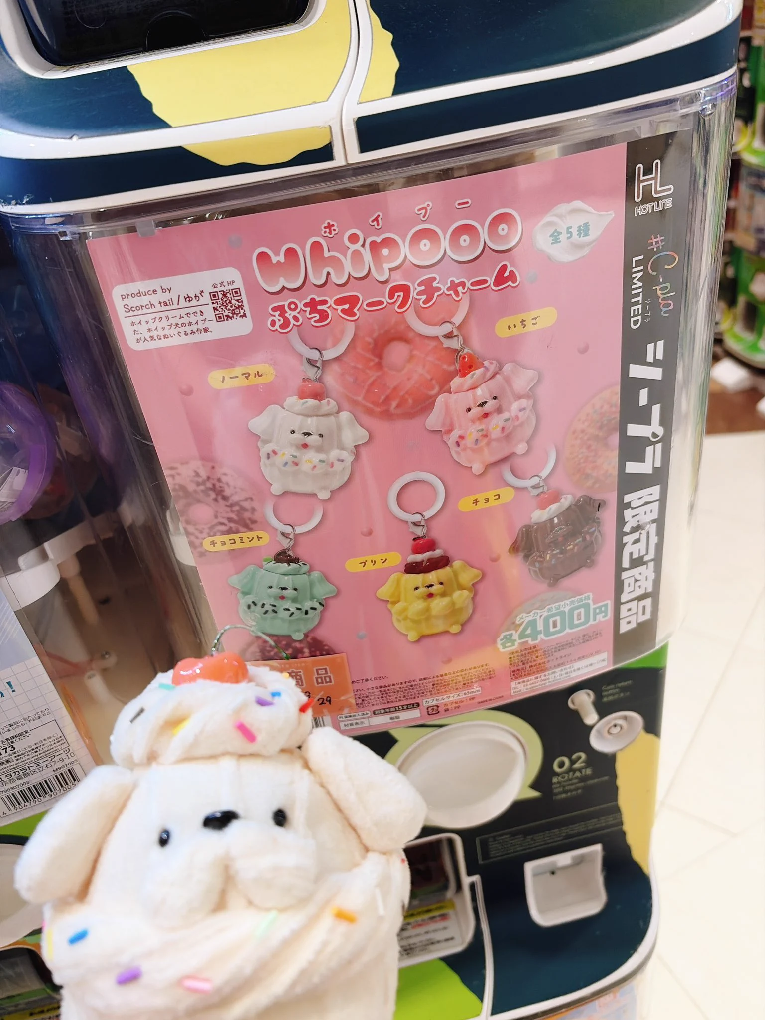 ホイプー ぬいぐるみ 2個セット Whipooo🐩🧁 (@whipooo_y) / X