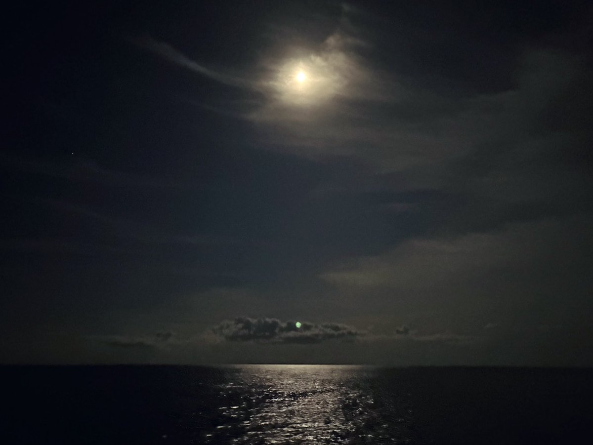 mkt_zhen's tweet photo. フェリーの思い出🛳️(9/25〜9/26)

①夕食ビュッフェ
②フェリーの上から見た中秋の名月
③夕食後の晩酌タイム(さんふらわあ+ちいかわコラボタオルゲット！)
④寝る前のゴロゴロタイム https://t.co/4tNJrJaIMQ