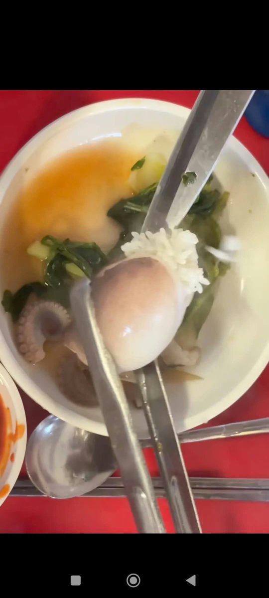 calyamarinaa's tweet photo. Ya ampun, ibu mertuaku ketipu penjual cumi! 😭 Niatnya beli cumi segar, eh pas sampai rumah ternyata cuminya penuh cacing kayak gini. 😭💀

Mertuaku langsung kapok lihat beginian 😭 Sejak kejadian itu, dia bilang harus selalu siap sedia obat cacing di rumah, apalagi kalau sering makan seafood.