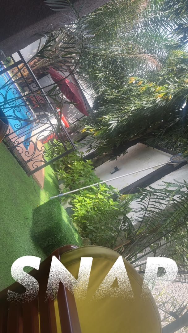 JOdumuko's tweet photo. #View 📸 https://t.co/2cR4jGBPdc
