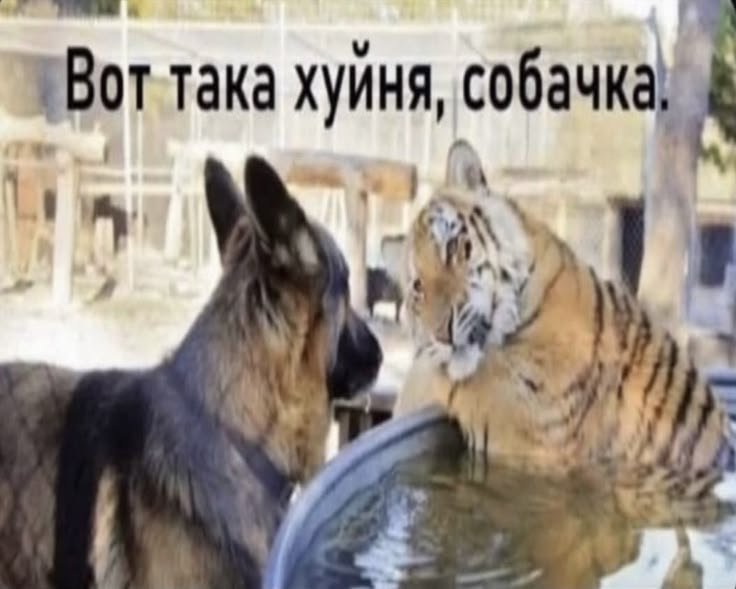 maruushk's tweet photo. химия для пидорасов https://t.co/IXWmIDcgee