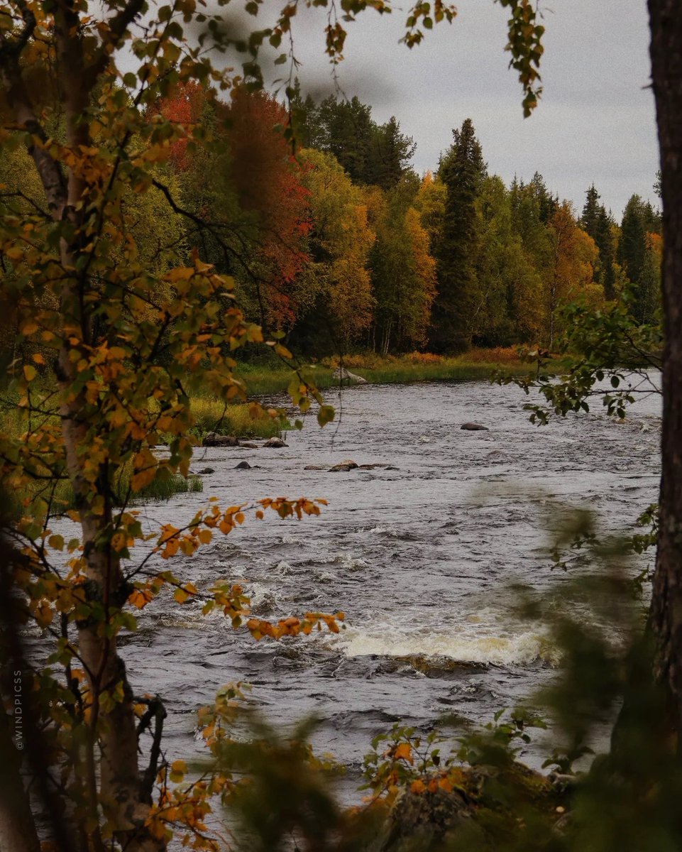 natureegloomy's tweet photo. Every autumn view feels like a painting https://t.co/0dX2dBzDEo