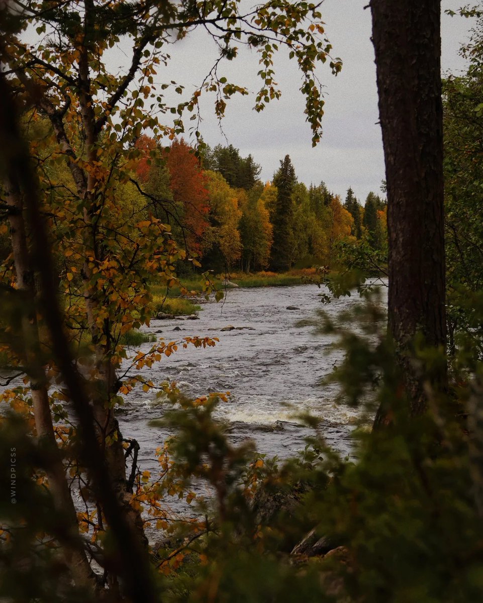natureegloomy's tweet photo. Every autumn view feels like a painting https://t.co/0dX2dBzDEo
