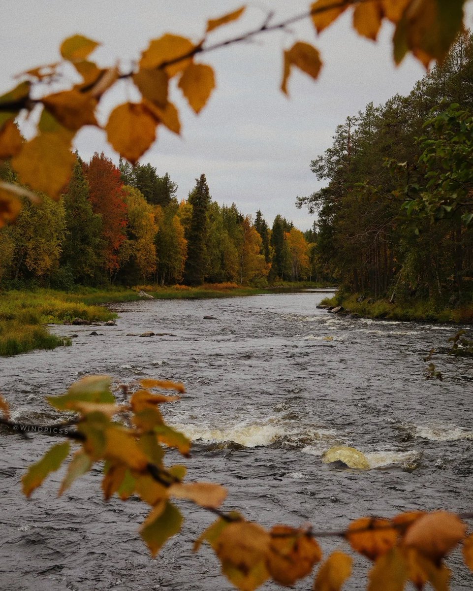 natureegloomy's tweet photo. Every autumn view feels like a painting https://t.co/0dX2dBzDEo