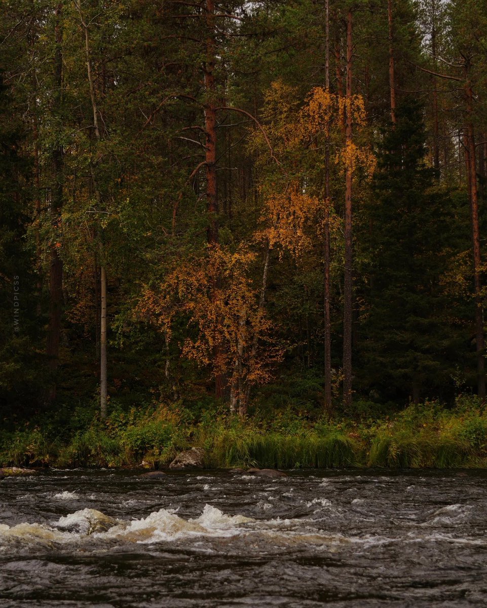 natureegloomy's tweet photo. Every autumn view feels like a painting https://t.co/0dX2dBzDEo