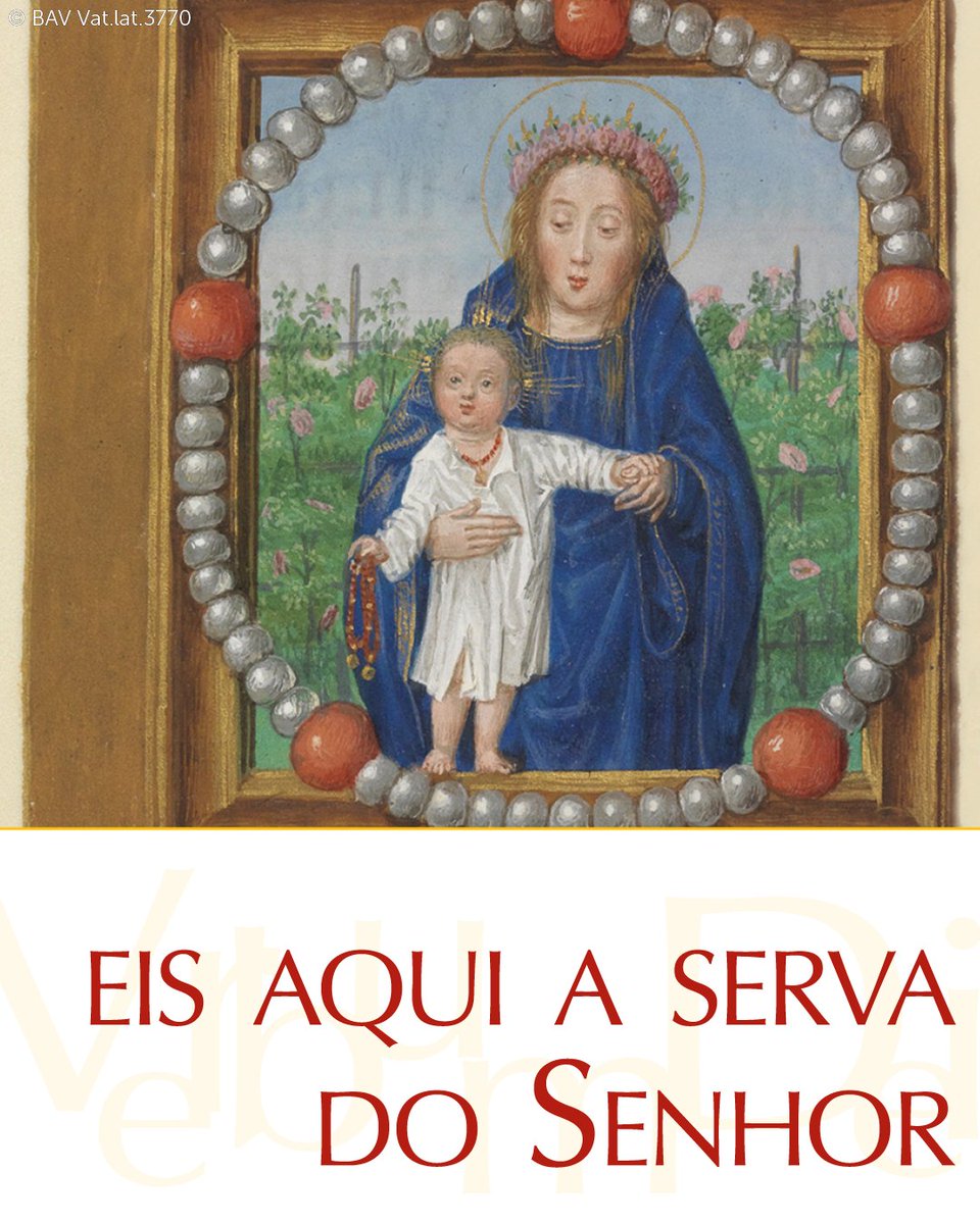 vaticannews_pt tweet picture