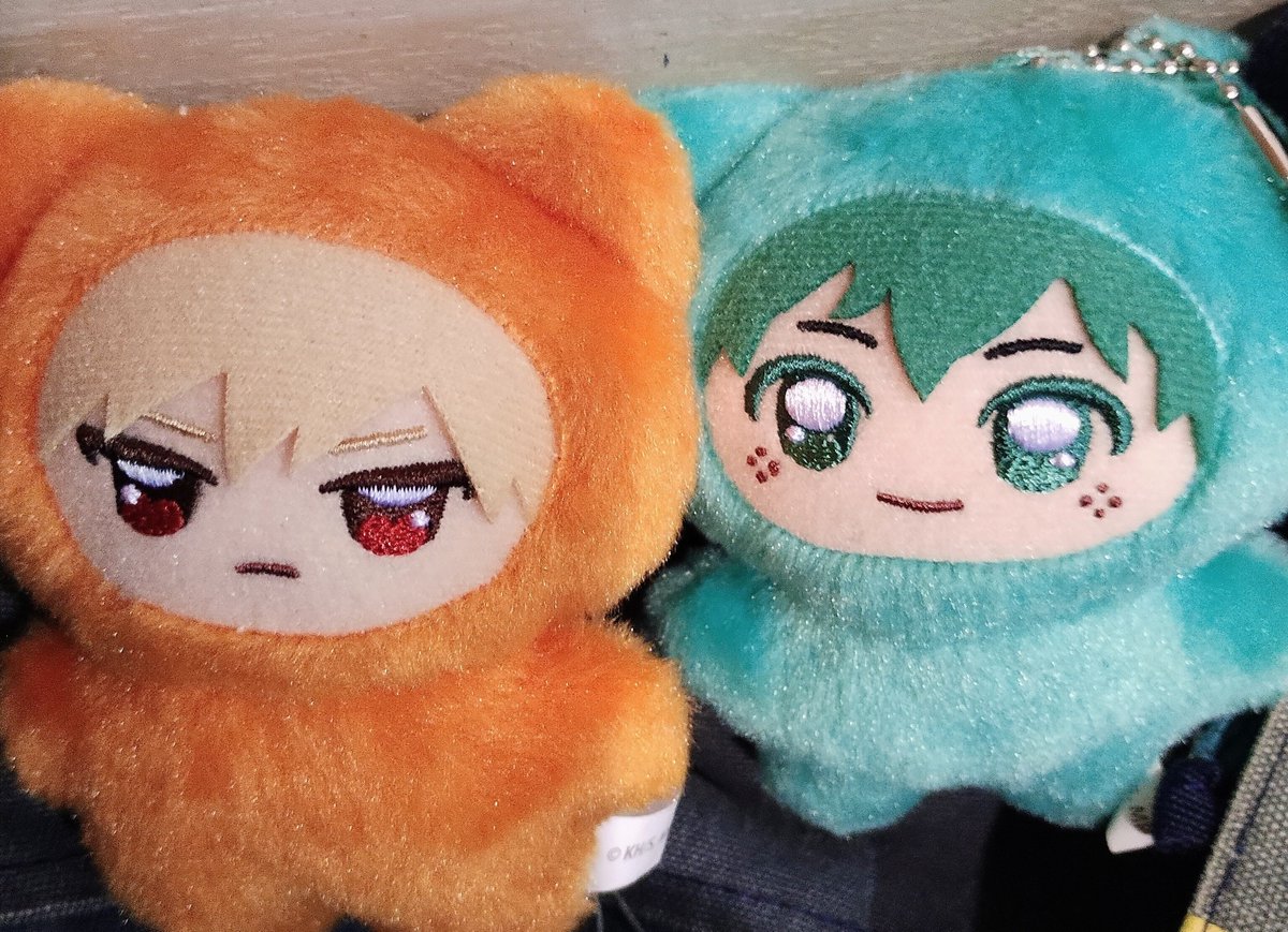 17mafticulin's tweet photo. 大会。ちみちゃんたちに見守ってもらいながら、運動不足の身体に鞭うって頑張ってきました。 https://t.co/GZkoB3lB7k