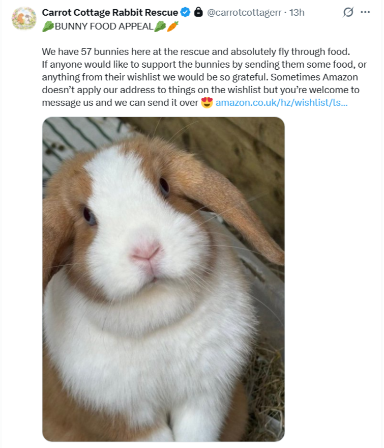 thegrebnam's tweet photo. Help some lovely buns, 57 to be precise, with some chow. 😍🙏🐇🐰
#bunnies #carrotcottagerr #food #chow #bun

https://t.co/qp4uOi1m7V

@carrotcottagerr https://t.co/tOvKdho9CD