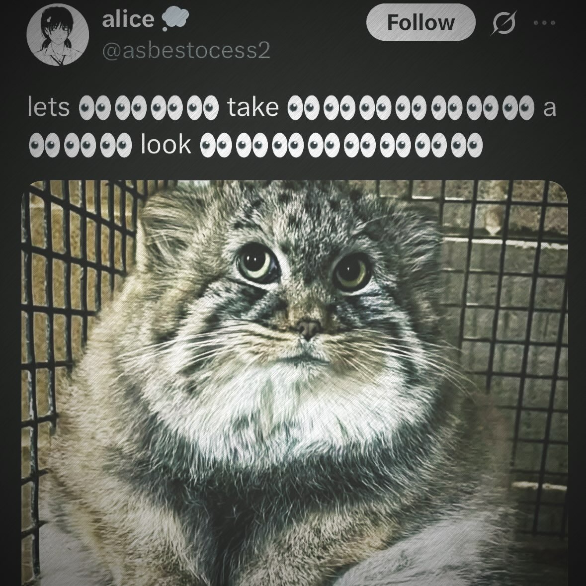 DailyMantle3's tweet photo. https://t.co/eaYiSNwrj7