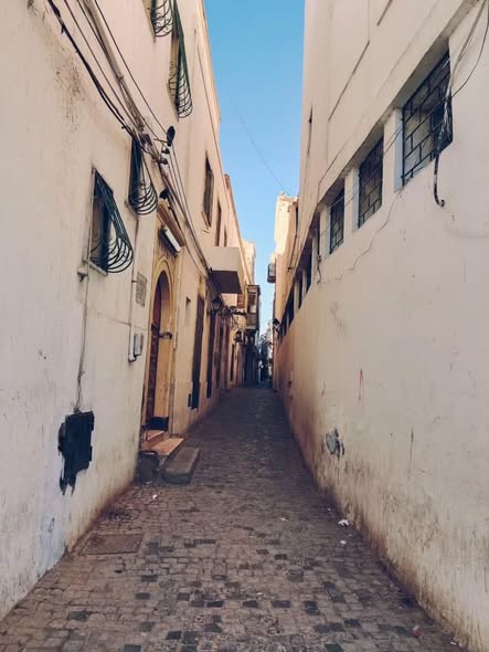 Ruqaya_6w's tweet photo. صباح الخير يا طرابلس ❤️☀️
أسعد الله صباحكم بكل خير، وربي يجعل نهاركم فرحة وراحة بال 🇱🇾✨
#طرابلس_الآن #طرابلس #ليبيا #صباح_الخير https://t.co/gWwt2xRQvQ