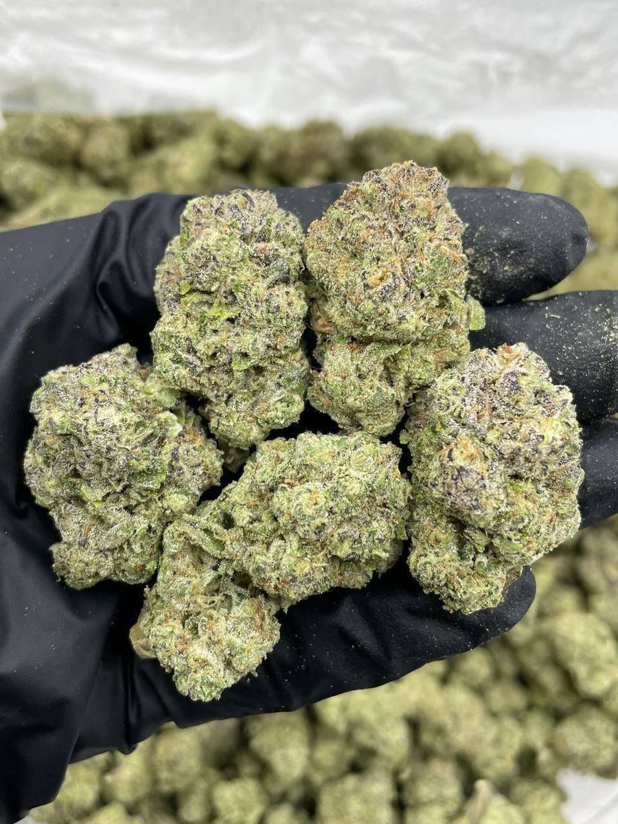ukweed42's tweet photo. Weed Stevenage, Harlow, Southport, Birkenhead, Wallasey, Runcorn, Widnes, Crewe, Macclesfield, Neath, Port Talbot, Bridgend, Barry, Merthyr Tydfil, Aberystwyth, Caernarfon, Falkirk, Livingston, Hamilton, Motherwell, Paisley, East Kilbride, Dumfries, Ayr, Kilmarnock, Greenock. https://t.co/BeLYw6TeGv